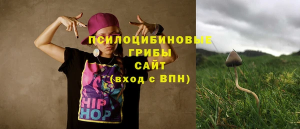 a pvp Алзамай