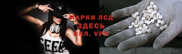 a pvp Алзамай